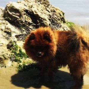 Meet your Posher, Hayley